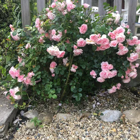 Foce. Bilocale Con Giardino. 4 Posti Letto.