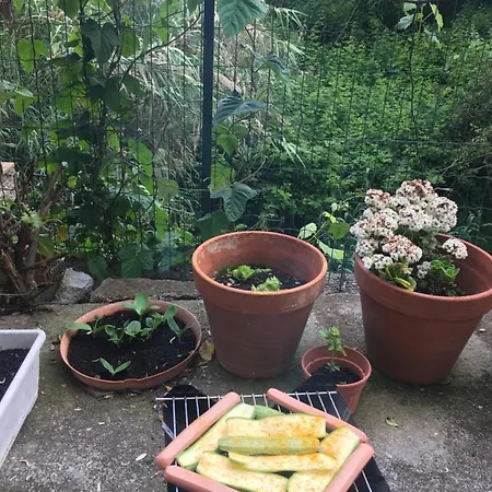 Foce. Bilocale Con Giardino. 4 Posti Letto. *